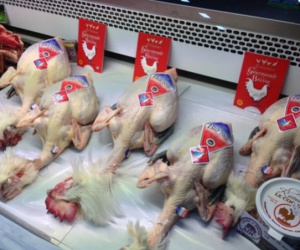 Gà 'quốc bảo' 1 triệu/kg ngon cỡ nào... nhà giàu lùng mua?