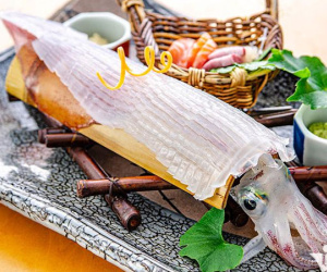 Bắt con mực tươi sống biển Hà Tĩnh, xuất thẳng sang Nhật ăn liền