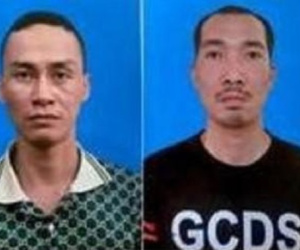 Cặp anh em ruột nghiện hút cầm đầu đường dây trộm cây cảnh trị giá hàng tỷ đồng