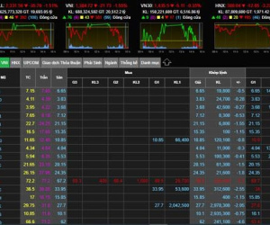 'Đỏ máu' khắp sàn: Hiệu ứng domino, VN-Index thủng đáy 1.385 điểm