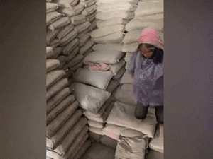 Thực hư thông tin cụ bà vác hàng tấn xi măng mưu sinh từng ngày: 'Cụ làm vì thích, đang xây nhà 3 tầng'