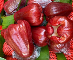 Đặc sản roi đỏ An Phước mất giá 5 lần, rẻ chưa từng có