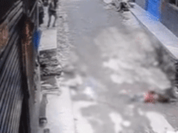 Khỉ con 'bắt cóc' bé gái đang chơi trước cửa nhà, diễn biến phía sau gây thót tim
