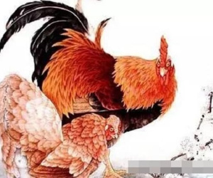 4 con giáp, càng về già càng gặp nhiều may mắn, có cuộc sống sung túc, tiền bạc rủng rỉnh