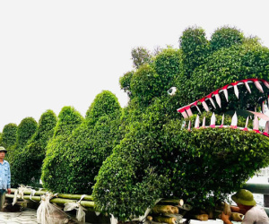 Xôn xao với hình ảnh 'siêu phẩm rồng xanh' ở Hạ Long khiến cư dân mạng ngao ngán