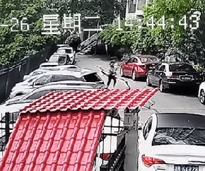 Cảm nhận được nguy hiểm, mẹ bế con chạy thục mạng trước khi điều khủng khiếp đến trong vài giây sau
