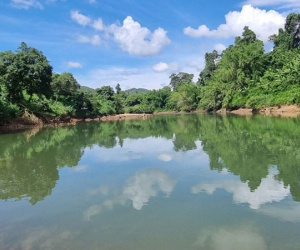 Tai nạn đau lòng ở Bình Phước, 4 học sinh lớp 11 cùng tử vong