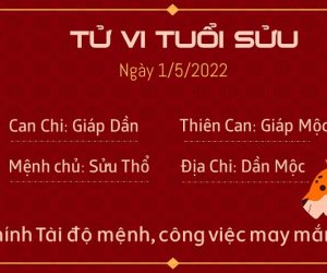 Tử vi Chủ Nhật ngày 01/05/2022 của 12 con giáp: Sửu đề phòng mất tiền oan, Hợi đón tài lộc