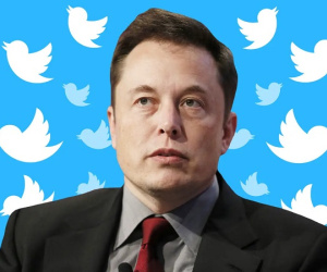 Elon Musk có thể làm CEO tạm thời của Twitter