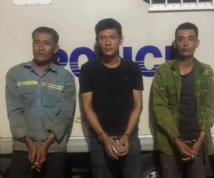 3 anh em ruột rủ nhau trồng cần sa bán kiếm lời