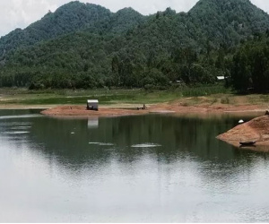 Chìm xuồng trên hồ nước ở Đồng Nai, 3 người tử vong