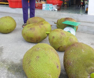 Thấy con dâu hiếm muộn 5 năm bị hàng xóm làm tổn thương, mẹ chồng liền có cách dằn mặt cực gắt