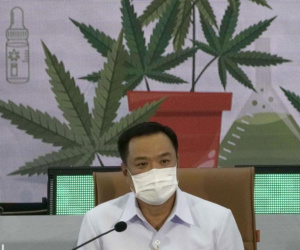 Thái Lan phát một triệu cây cần sa cho người dân