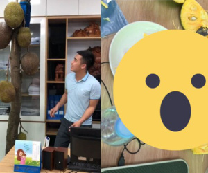 Dở khóc dở cười với cây mít mọc 'ngang ngược' giữa văn phòng của một công ty nhưng sai quả, bổ thành phẩm bên trong mới gây bất ngờ