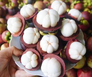Những 'đại kỵ' khi ăn măng cụt, bạn nhất định phải biết để không 'rước độc' vào người