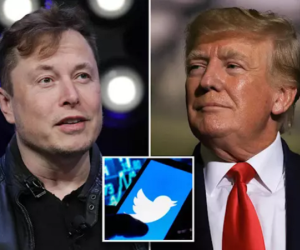 Mở lại tài khoản Twitter: Elon Musk đặt ông Trump vào thế khó