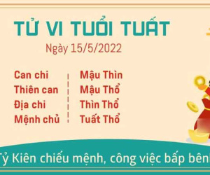 Tử vi Chủ Nhật ngày 15/05/2022 của 12 con giáp: Ngọ có tài vận, Dậu cẩn thận thất nghiệp