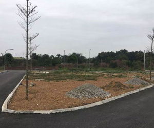 Ôm mảnh ruộng ngàn m2 rồi bỏ hoang: Giấc mộng 10 năm ăn cú đậm