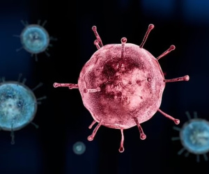 Virus cúm mùa là hậu duệ của 'sát thủ' từng giết 100 triệu người?