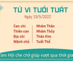 Tử vi thứ 5 ngày 19/05/2022 của 12 con giáp: Ngọ đón tài lộc, Tuất đề phòng tiểu nhân