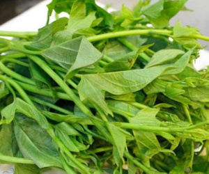 Loại rau quen thuộc, dễ tìm lại có tác dụng chống ung thư
