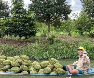 Trung Quốc ‘ăn hàng’: Đang phải đổ bỏ bất ngờ đắt hàng, nông dân lãi đậm
