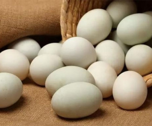 Trứng gà, trứng vịt, trứng ngỗng, trứng cút, loại nào bổ dưỡng hơn? Bác sĩ: Ăn càng ít càng tốt 1 loại trứng
