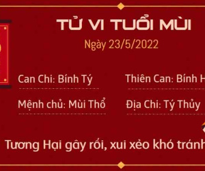 Tử vi thứ 2 ngày 23/05/2022 của 12 con giáp: Mùi xui xẻo,Thìn được giúp đỡ