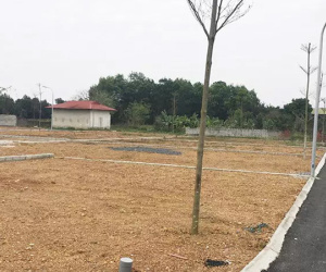 Giá đất ven đô lại 'nhảy múa' ăn theo quy hoạch đường Vành đai 4