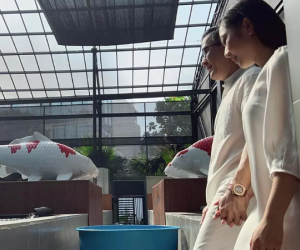 Vua cá Koi nói lý do gọi Hà Thanh Xuân là 'con gái kiếp trước'