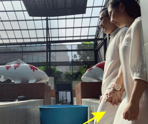 Bị dân mạng mỉa mai sau câu nói Hà Thanh Xuân là 'con gái kiếp trước', 'vua cá Koi' gay gắt đáp trả