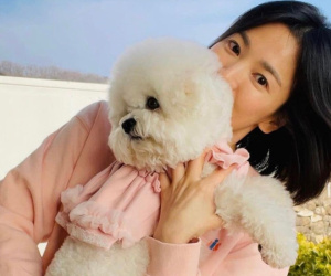 Song Hye Kyo có thật sự đang ổn?