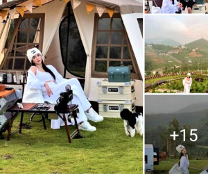 Nơi Ngọc Trinh nói đã mua đất: Địa phương nói rõ sự thật và cách xử lý