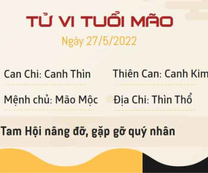 Tử vi thứ 6 ngày 27/05/2022 của 12 con giáp: Mão gặp quý nhân, Tị khó khăn