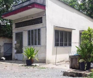 Bé 1 tuổi ở TP.HCM bị bạo hành đến chết