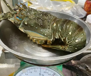 Giá hải sản tăng vọt, rau muống đắt đỏ 20.000 đồng/bó