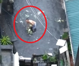Dở khóc dở cười hình ảnh người đàn ông 'hôi của' 2 cây bắp cải đi lạc dưới mưa ngập ở Hà Nội