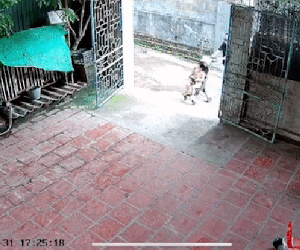Thót tim cảnh hai cụ cháu ngã sõng soài trước cổng, nhưng rồi ai cũng bồi hồi khi chứng kiến hành động 'hiểu chuyện' của bé gái
