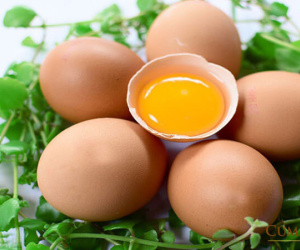 Rộ tin đồn 'ăn trứng tăng nguy cơ bệnh tim', chuyên gia phản bác