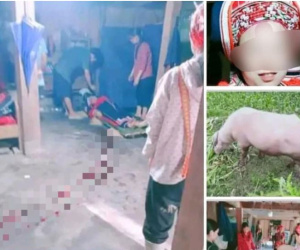 Xót xa thai phụ bị trâu 'điên' húc tử vong ở Hà Giang