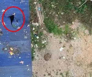 Người đàn ông rơi từ tầng 11 chung cư là công an TP Thái Nguyên