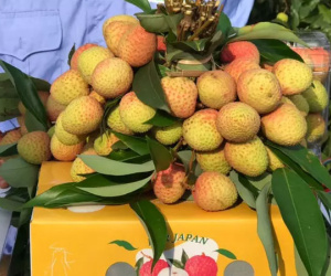 Vải thiều 200 nghìn/kg: Hàng xuất Nhật, khách nội hiếm được ăn