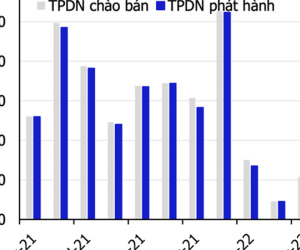 Phát hành trái phiếu doanh nghiệp tăng vọt trong tháng 5, nhóm bất động sản lại rầm rộ