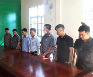 Khởi tố 7 cán bộ 'tiếp tay' phá rừng ở Lâm Đồng