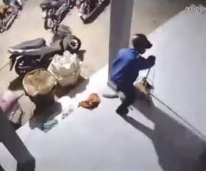 'Cẩu tặc' mất chưa đến 10 giây để tóm gọn con mồi, dân mạng hoảng sợ: 'Quá nhanh, quá nguy hiểm'