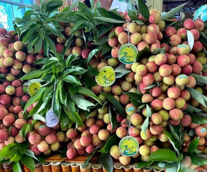 Đắt nhất 650.000 đồng/kg: giật mình giá vải thiều Việt Nam ở nước ngoài