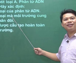 Vụ khởi tố Tổ trưởng tổ ra đề môn Sinh thi tốt nghiệp: Thầy giáo luyện thi trùng 80% nói gì?