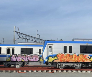 Người vẽ bậy lên tàu metro có thể bị xử lý hình sự