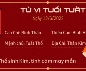 Tử vi Chủ Nhật ngày 12/06/2022 của 12 con giáp: Tuất đón tài lộc, Tị hao tổn tiền bạc