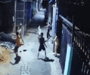 Clip: Hai gia đình hỗn chiến vì chó thả rông, 1 người chấn thương não